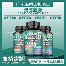 ��ƷSea weed capsules��̦�����z���N�����l�羳���R�d���N���S