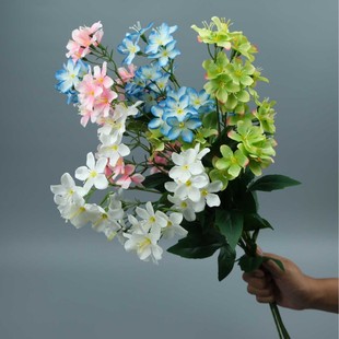 5�������ͩ���滨���򻨼ҾӼٻ���c��Y·���Y���b[���S��