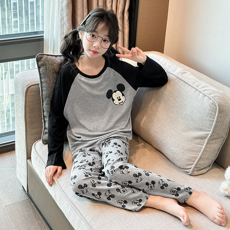 508 모달 만화 미키