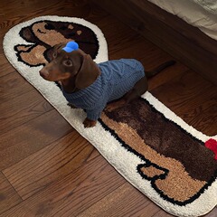 かわいい大きな耳のソーセージ犬のベルベットの植毛カーペット家庭用寝室のベッドサイド毛布は滑り止め客間のソファマットを厚くしている