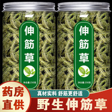 伸筋草中药材野生正品泡脚的功效透骨草小舒筋草白芥子远志益智仁