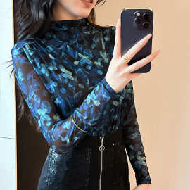 2025新款高端半高领网纱打底衫内搭流行爆款女士纱衣t恤上衣