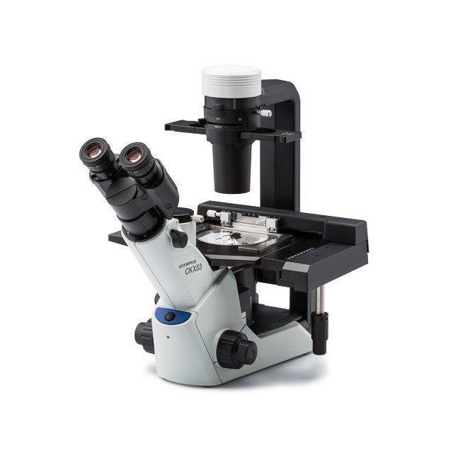 奥林巴斯 OLYMPUS CKX53 三目倒置生物显微镜 销售维修microscope