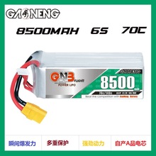 GNB8500mAh 6S 22.2V 70CbֱC܇RCo˙Cģ늳