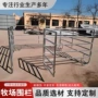 草原马场养殖定制马匹