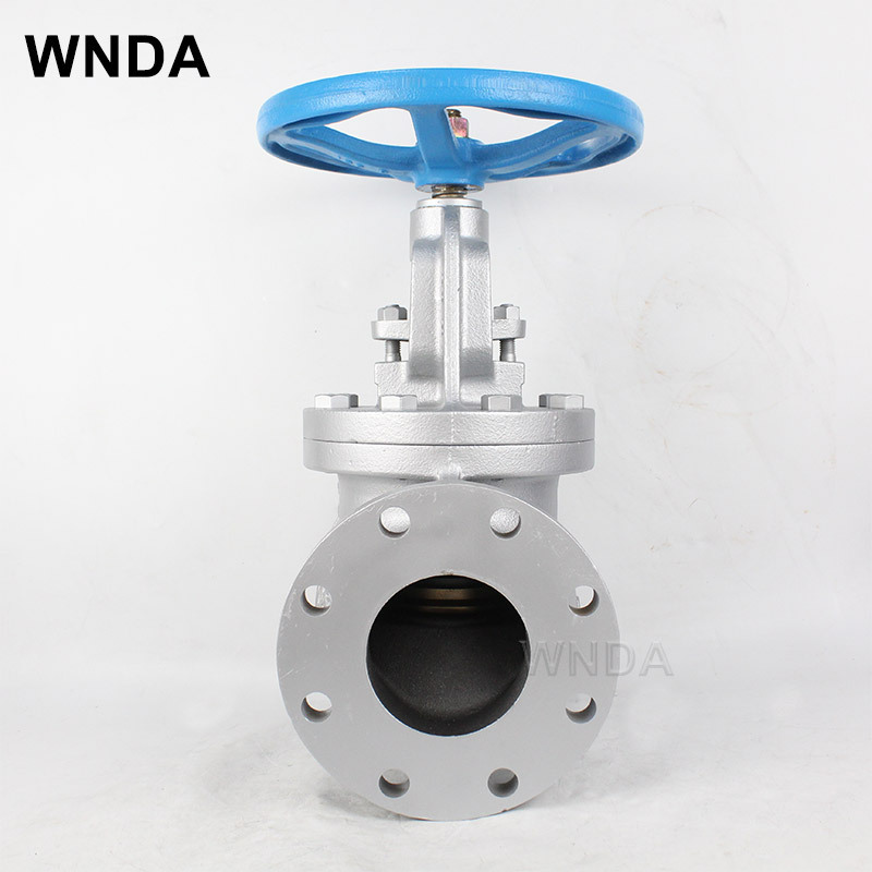 ձKITZֹ 125FCJ ֶڷPN16 DN100 DN80