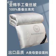 出口蚕丝被100桑蚕丝夏凉被薄空调被春秋被棉被双人被子被芯冬被