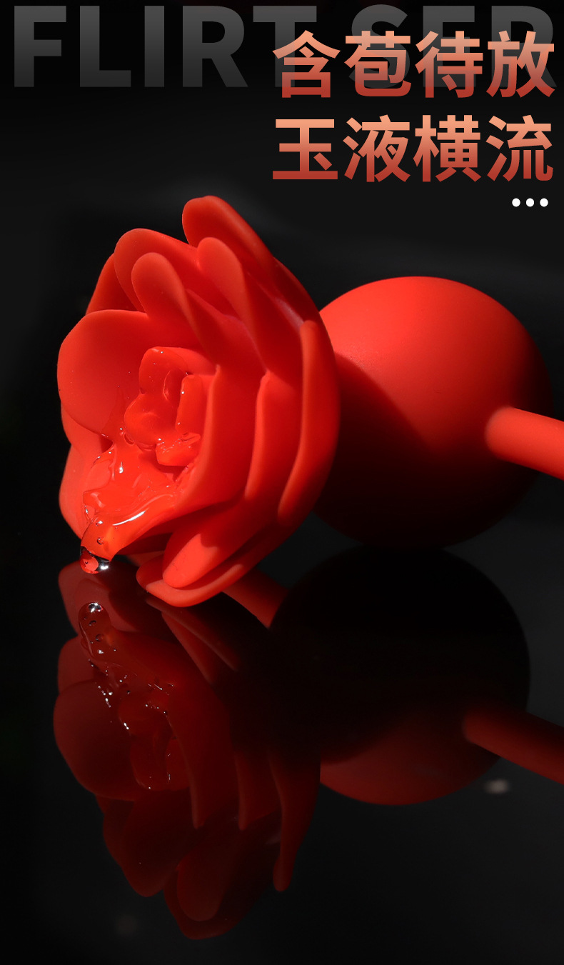 Silicone Mouth Plug with Leather Strap for Couples Bondage Play — detail image 2