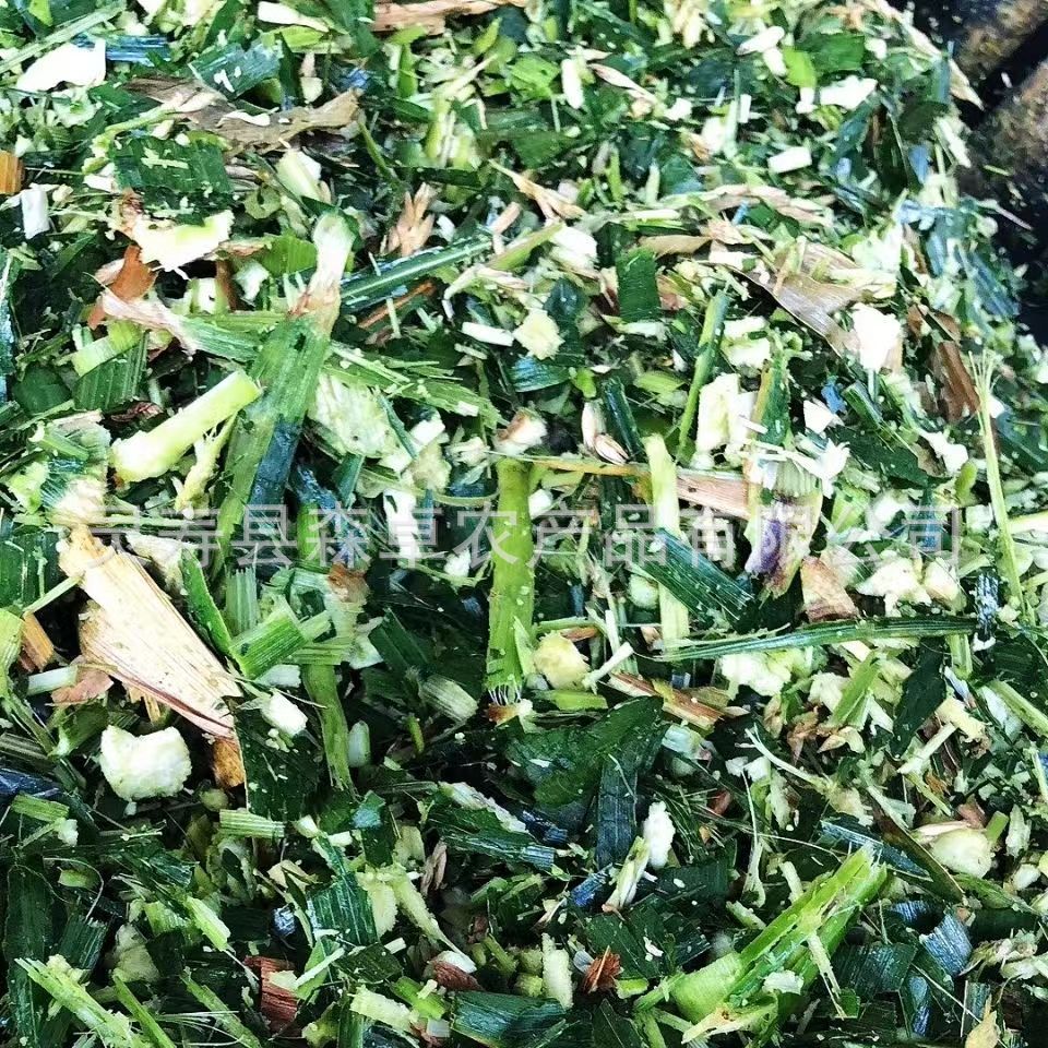 4b414bc619734f38deab386cf0bef7