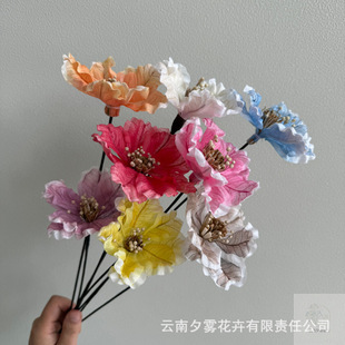 �~�}ľ�m��ͨ�ݻ��������o����޹����ins�L�Ҿ�ܛ�b�廨�羳���l