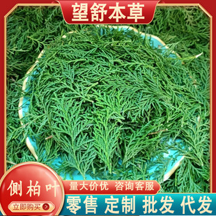 �؎XҰ�����r�Ȱ��~��ꎸ��㸽�Ӯ��w�����Ǟ��lÓ�lϴ�^���מ�