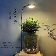 ֮ˮꑸ̦ׄ\΢^Ʒ辰BrGֲBƿ