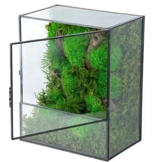 四方盒开门带前挡板 苔藓微景观玻璃盒
