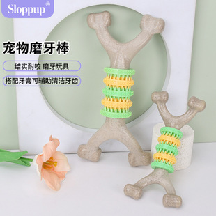 ����ĥ����� �����␞�p����� �����^��ҧ��� ������Ʒ���l