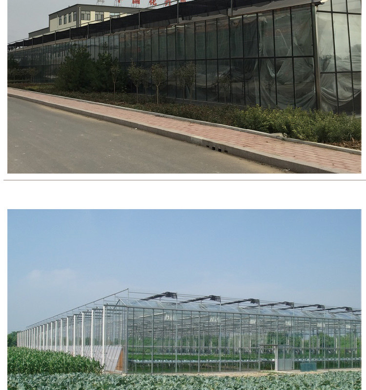 玻璃溫室_15.jpg