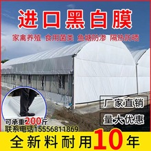 大棚二层膜猪舍农用养猪隔热降温养殖塑料大棚养鸡食用菌鱼塘防渗