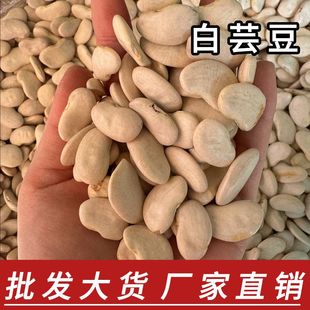 �S��ֱ�N��ܿ����؛ ���ܿ��녶�����ѩ�� ���i����õ������l