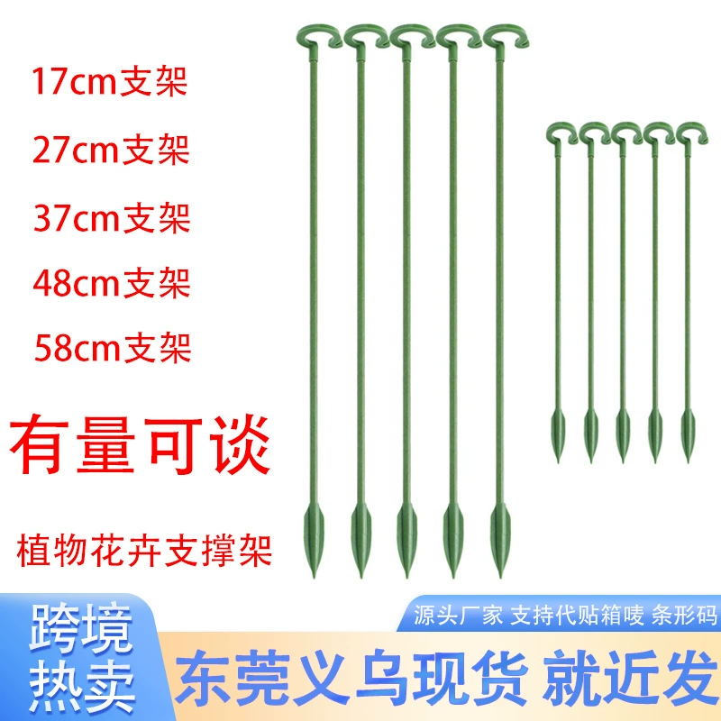 Мясистый фаленопсис специальный держатель для цветов