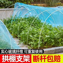 棚小支架种菜骨架杆拱棚菜棚玻璃纤维条大棚骨架塑料拱棚农用保温