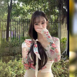 美式甜辣妹性感网纱V领长袖t恤女夏季新款设计感小众修身短款上衣