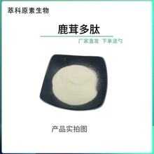 鹿茸肽99% 小分子肽 鹿茸提取物 食品级活性多肽天谷包邮100克/袋