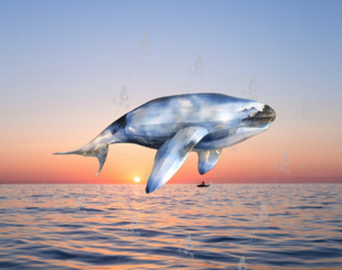 �H�~����ɽ������F������y�ֹ����gˇ�g������Ԓ�������~������