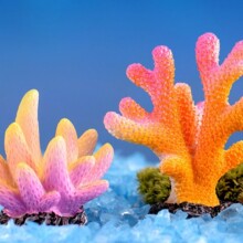 ΢���^�b�Ʒ �����֬ɺ�� ˮ���� �~�� ���� ��܇  ����   �[��