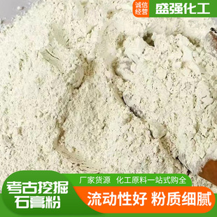 Gypsum Powder Standard Doll Model Gypsum Powder Piggy Bank Table Ornaments Diffuser DIY Archaeological Excavation Gypsum Powder