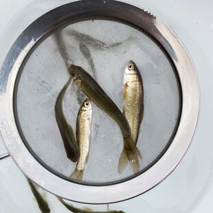 ���~���~�絭ˮ������İ����a�~����·�~���Bֳ�~���~���ͻ��w