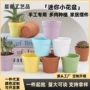 多肉迷你盆栽手工小花盆