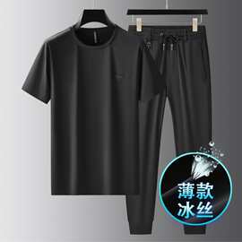 凉感男士运动服套装夏季薄款短袖两件套男冰丝圆领t恤休闲套装831