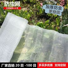 尼龙纱窗网防蚊防虫家用加密纱网结实防虫网加厚纱窗加密防尘纱窗