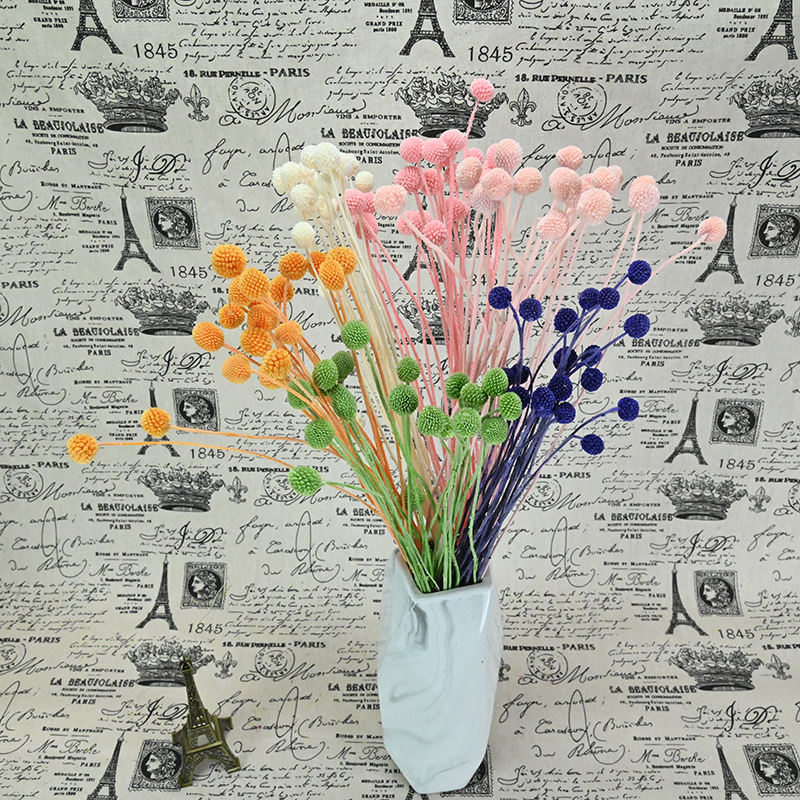 Holographic Everlasting Flowers Golden Ball 20 Pieces/Bundle Flower Material DIY Christmas Black Dried Flowers Birthday Yunnan Fresh Flowers