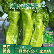 ��Ƥ�����N����˽��N�����͟��ļ������N���r��ͥԺ�߲˷N�����l