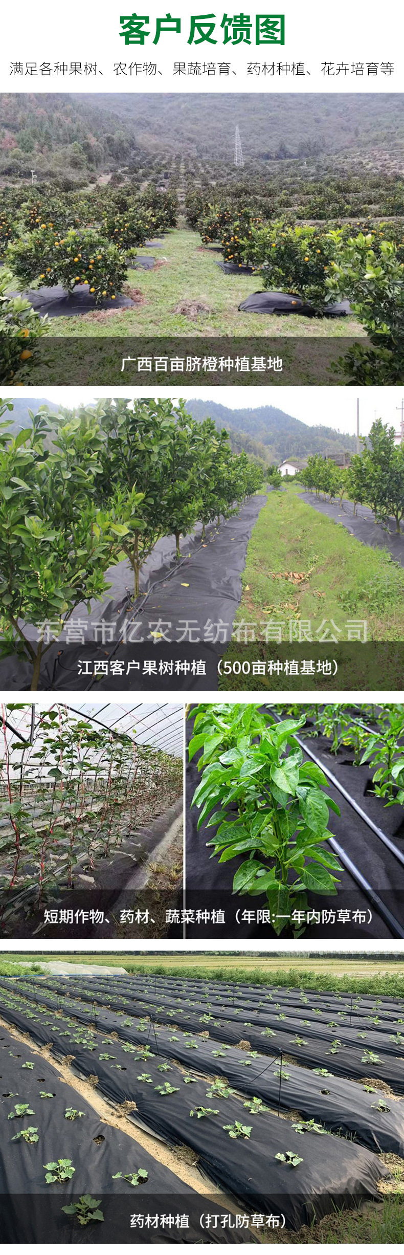 O1CN01vVC9ez1bWgVpbgXaH_!!2924243473-0-cib.jpg?__r__=1722236159229