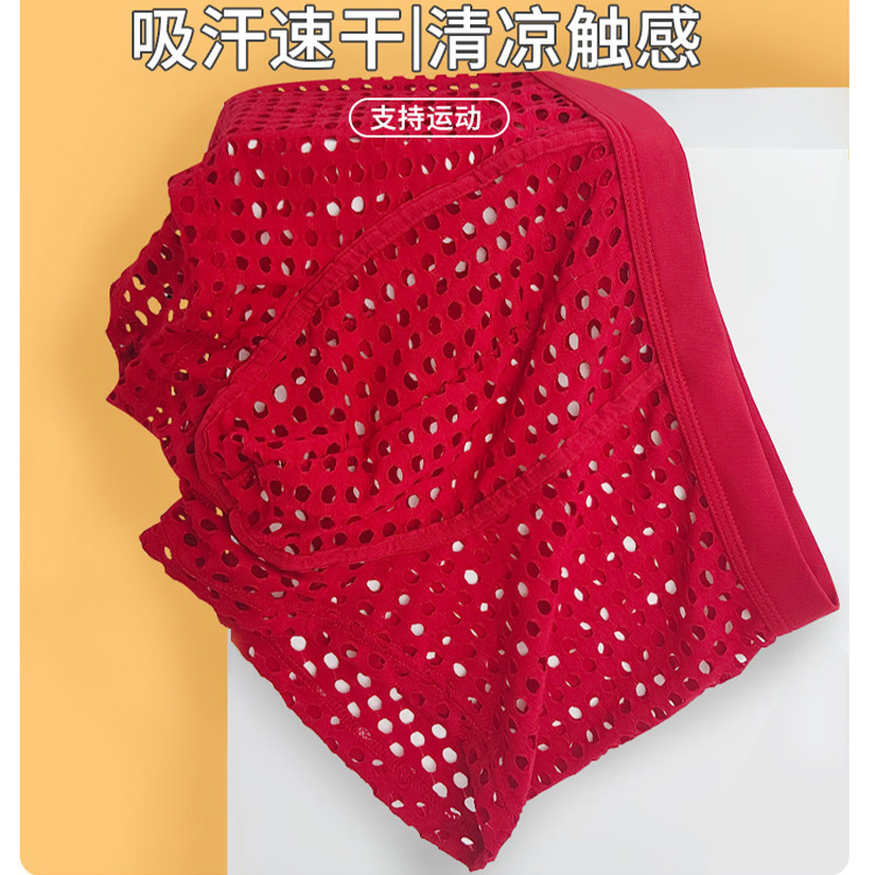 Internet Celebrant New Large Mesh Men's Underwear Breathable European Size Sexy Boxers Men's Spot Stock Multi Men's Boxers