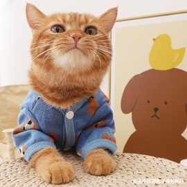 猫咪专用小衣服秋冬季公猫帅气可爱金吉拉布偶英短猫小熊图案毛衣