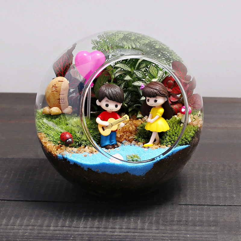 13 пар горшечных небольших растений бонсай очистка воздуха в помещении зеленые растения вечнозеленый мох микроландшафтный Материал Пакет