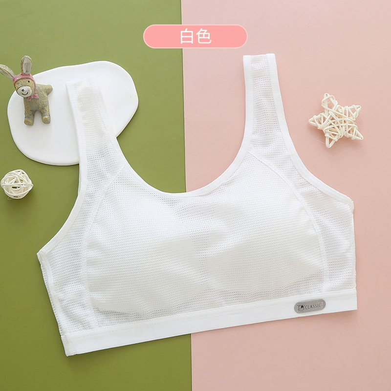 화이트(메쉬 버전)