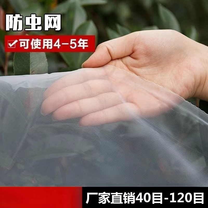 80目防虫网家用窗纱网防蚊子苍蝇农用大棚菜园果树杨梅树养猪厂