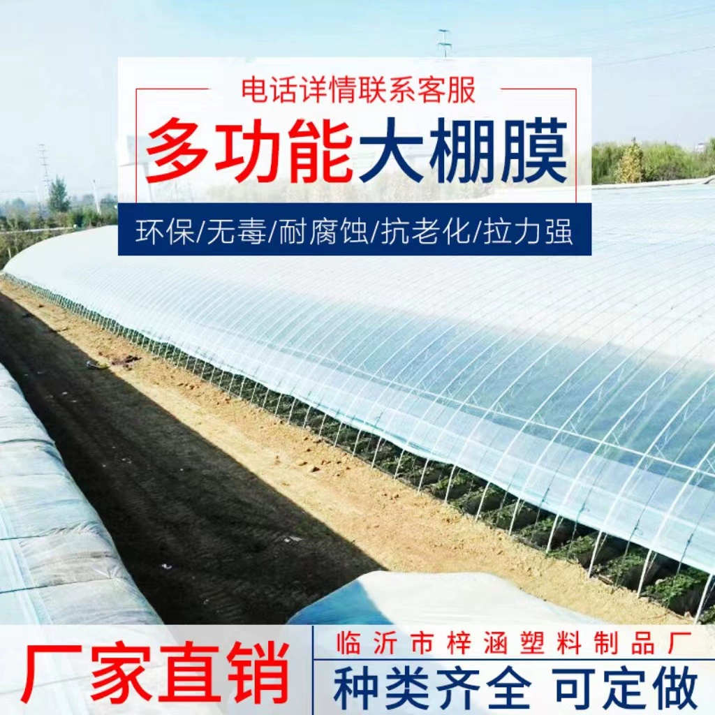 Прямая поставка с фабрики ПЭ прозрачная сельскохозяйственная пластиковая пленка пластиковая ткань утолщенная черно-белая нескользкая пленка тепличная пленка Po пленка оптом