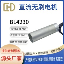 �Զ������ר��BL4230��ת����ˢ��� 6-48V0.12Nm�����Ŵ���ˮ��