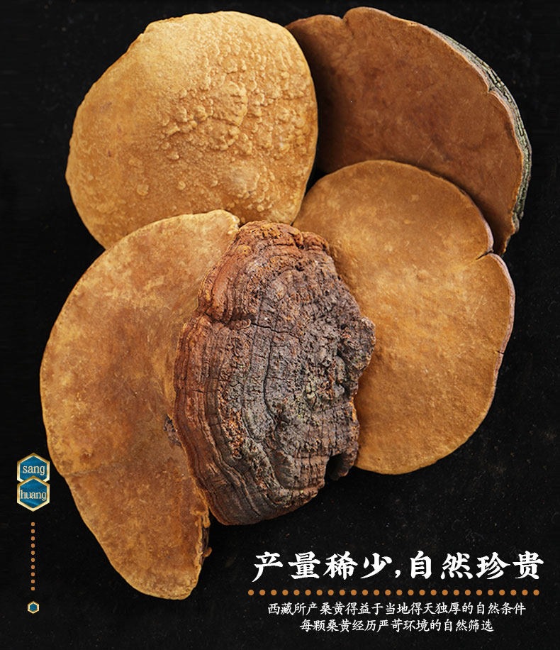 Sang Huang Mulberry Yellow Phellinus Mushroom with Ling Zhi Slices Herbal Tea Set 125g Plus 40g Jars overview