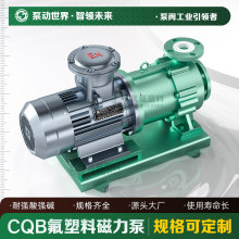 衬氟泵 耐腐蚀强酸强碱化工泵浓硫酸CQB氟塑料磁力泵