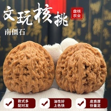 文玩核桃南僵石狮子头赵喜满逐鹿一代高炮凹底涞水官帽狮子头批发