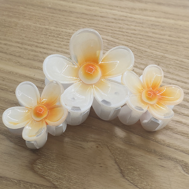 国境を越えたアマゾンの卵の花がグラデーションの花のキャンディー色の紫荊花の後頭部をつかんでサメの花を挟んで髪を伸ばします。|undefined