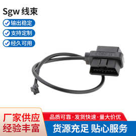 厂家直供Sgw 线束新能源汽车高压防水线束适用于2018-2021Ram皮卡