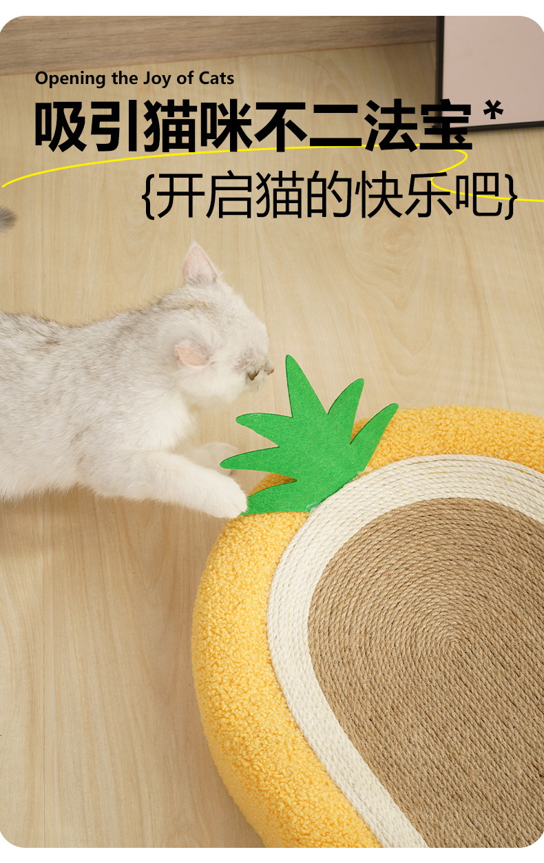 菠萝剑麻盆_05.jpg