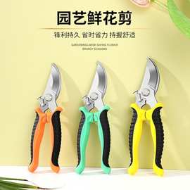 跨境树枝剪修枝剪园艺剪刀果园花艺专用摘果剪园林工具剪