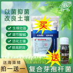 山东批发水产菌养殖复合芽孢杆菌 肥料饲料袋装农用复合芽孢杆菌